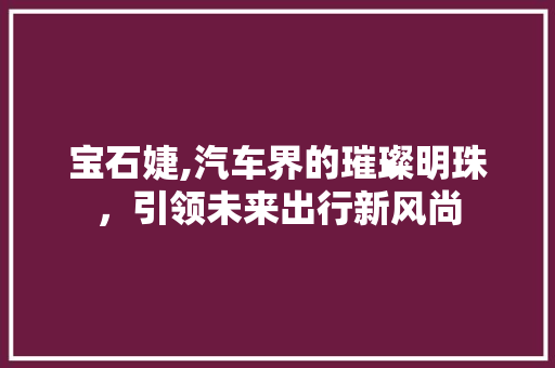 宝石婕,汽车界的璀璨明珠，引领未来出行新风尚