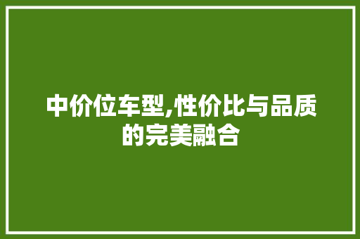 中价位车型,性价比与品质的完美融合