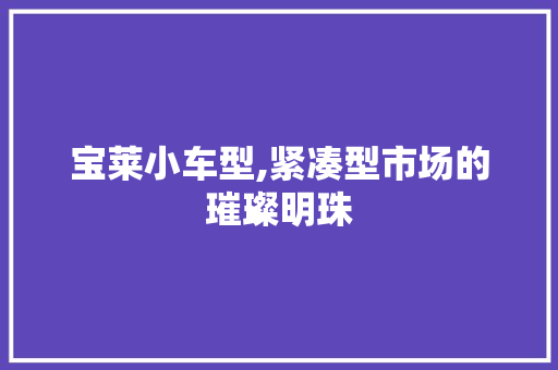 宝莱小车型,紧凑型市场的璀璨明珠