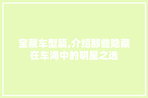 宝藏车型篇,介绍那些隐藏在车海中的明星之选