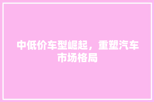 中低价车型崛起，重塑汽车市场格局 车灯配件