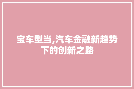 宝车型当,汽车金融新趋势下的创新之路