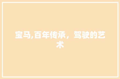 宝马,百年传承，驾驶的艺术