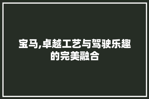 宝马,卓越工艺与驾驶乐趣的完美融合