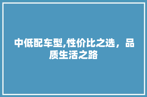 中低配车型,性价比之选，品质生活之路