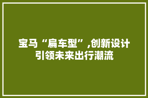 宝马“扁车型”,创新设计引领未来出行潮流