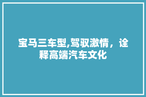 宝马三车型,驾驭激情，诠释高端汽车文化