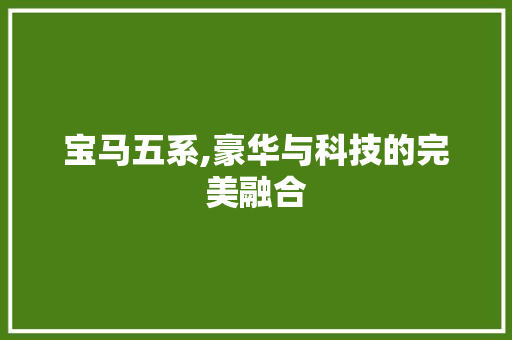 宝马五系,豪华与科技的完美融合