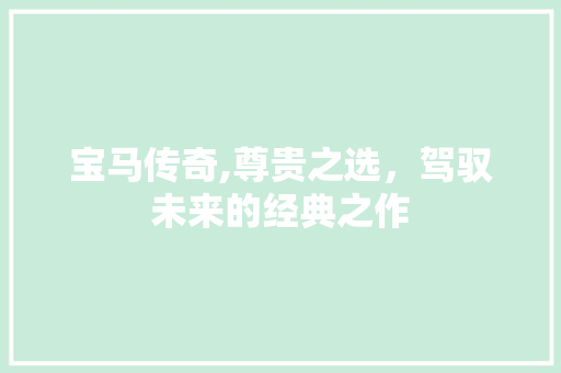 宝马传奇,尊贵之选，驾驭未来的经典之作