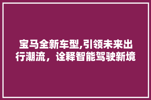 宝马全新车型,引领未来出行潮流，诠释智能驾驶新境界 蓄电池配件