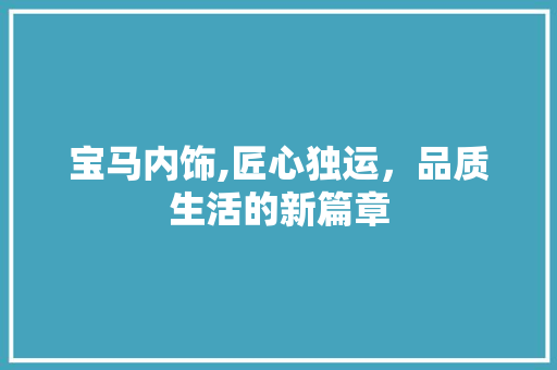 宝马内饰,匠心独运，品质生活的新篇章 车身配件