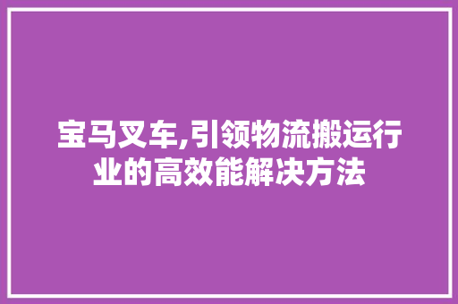 宝马叉车,引领物流搬运行业的高效能解决方法