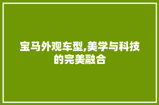 宝马外观车型,美学与科技的完美融合