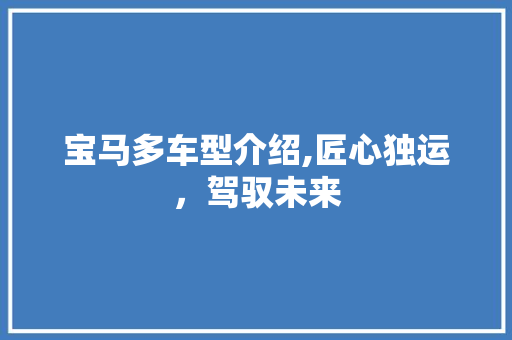 宝马多车型介绍,匠心独运，驾驭未来