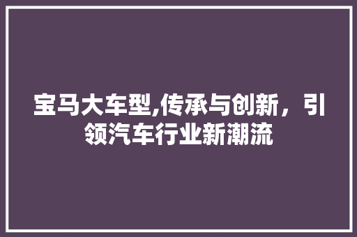 宝马大车型,传承与创新，引领汽车行业新潮流