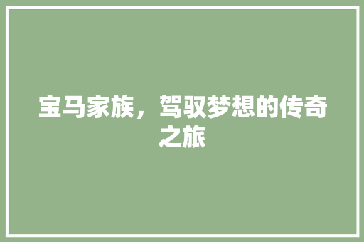 宝马家族，驾驭梦想的传奇之旅