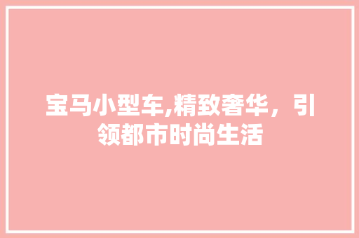 宝马小型车,精致奢华，引领都市时尚生活