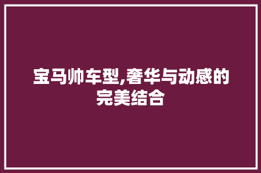 宝马帅车型,奢华与动感的完美结合