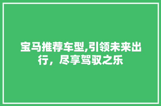 宝马推荐车型,引领未来出行，尽享驾驭之乐