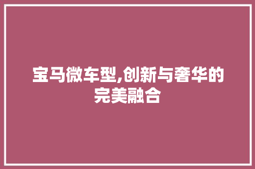 宝马微车型,创新与奢华的完美融合