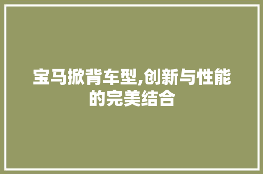 宝马掀背车型,创新与性能的完美结合