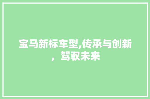 宝马新标车型,传承与创新，驾驭未来