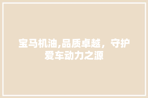宝马机油,品质卓越，守护爱车动力之源