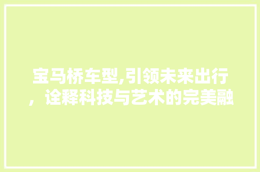 宝马桥车型,引领未来出行，诠释科技与艺术的完美融合