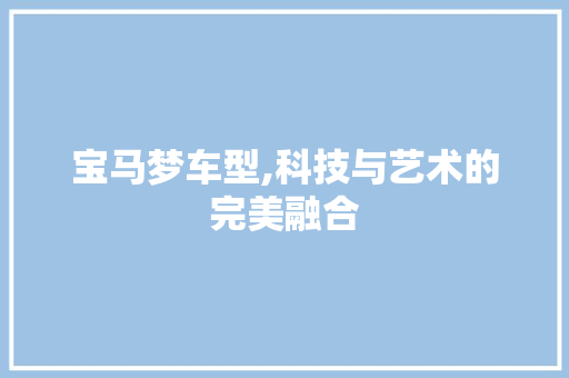 宝马梦车型,科技与艺术的完美融合