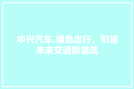 中兴汽车,绿色出行，引领未来交通新潮流