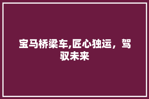 宝马桥梁车,匠心独运，驾驭未来