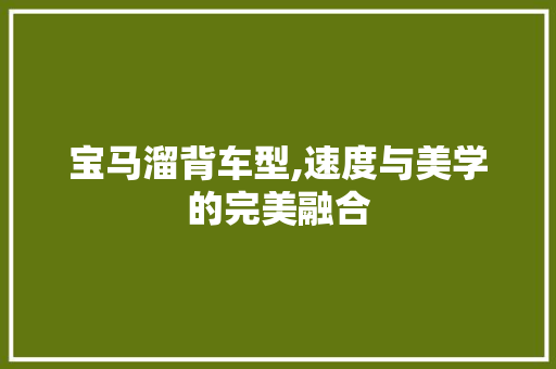 宝马溜背车型,速度与美学的完美融合