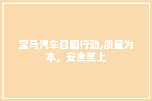 宝马汽车召回行动,质量为本，安全至上