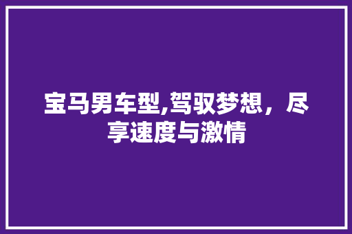 宝马男车型,驾驭梦想，尽享速度与激情