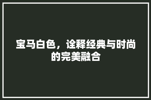 宝马白色，诠释经典与时尚的完美融合