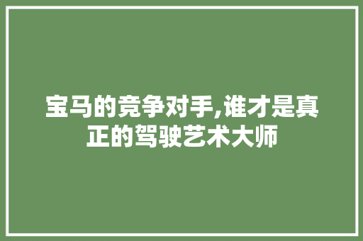 宝马的竞争对手,谁才是真正的驾驶艺术大师