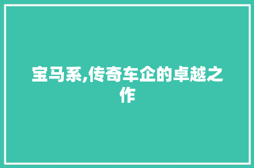 宝马系,传奇车企的卓越之作