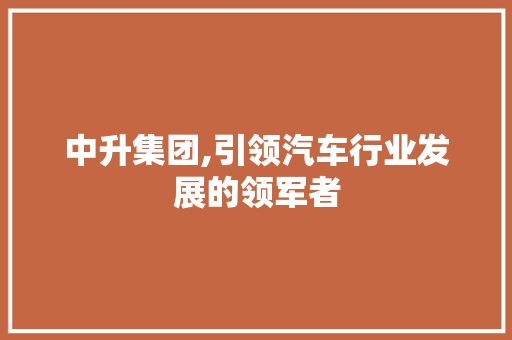 中升集团,引领汽车行业发展的领军者 车灯配件