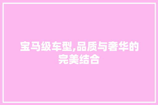 宝马级车型,品质与奢华的完美结合
