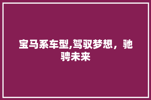 宝马系车型,驾驭梦想，驰骋未来