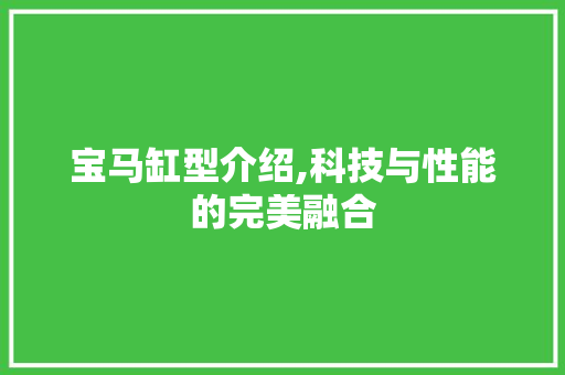 宝马缸型介绍,科技与性能的完美融合