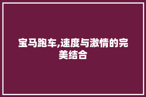 宝马跑车,速度与激情的完美结合