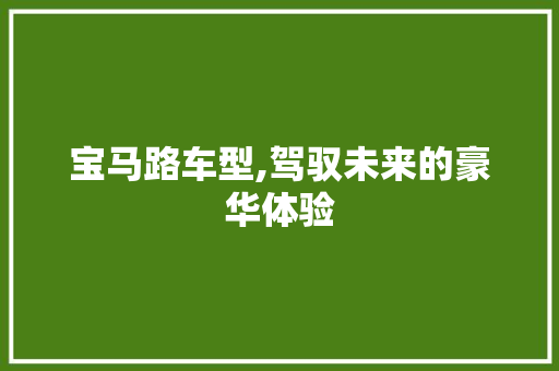 宝马路车型,驾驭未来的豪华体验
