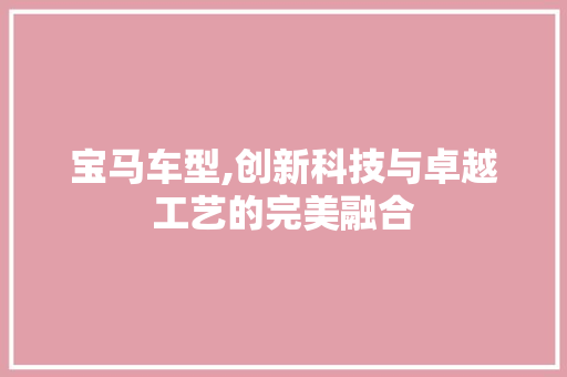 宝马车型,创新科技与卓越工艺的完美融合