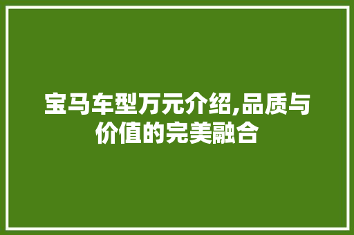 宝马车型万元介绍,品质与价值的完美融合