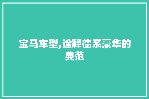 宝马车型,诠释德系豪华的典范