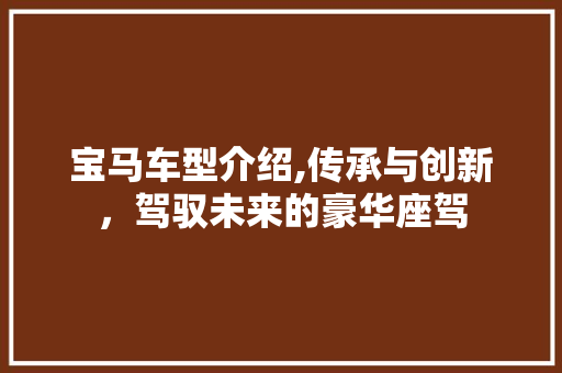 宝马车型介绍,传承与创新，驾驭未来的豪华座驾
