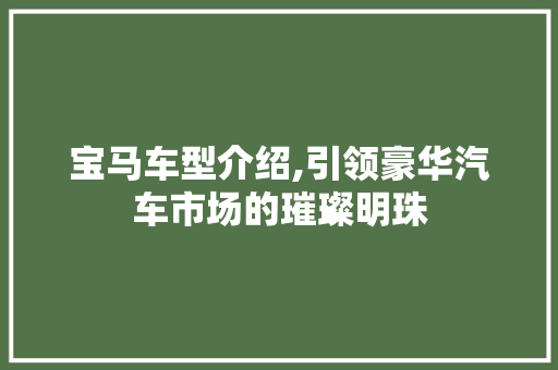 宝马车型介绍,引领豪华汽车市场的璀璨明珠