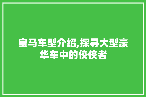 宝马车型介绍,探寻大型豪华车中的佼佼者