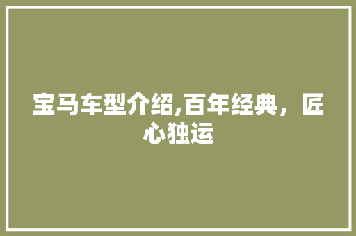 宝马车型介绍,百年经典，匠心独运